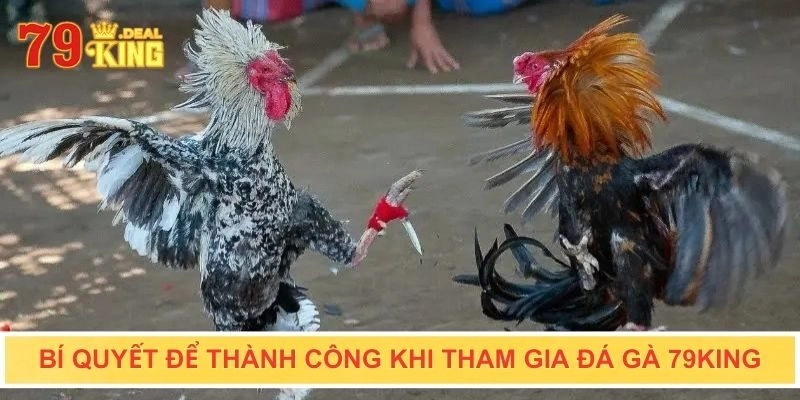 Hướng dẫn các bước tham gia đá gà 79KING